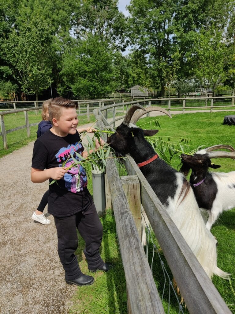 Plan Your Visit Reaseheath Zoo - Download Premium Landscape Background | Retina