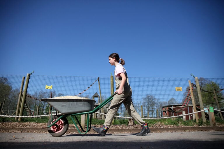 Experiences And Encounters Reaseheath Zoo - Abstract Wallpapers - Professional Desktop Collection