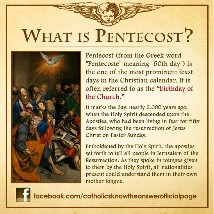 Catholics Know The Answer