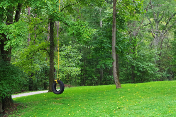 Tire Swing