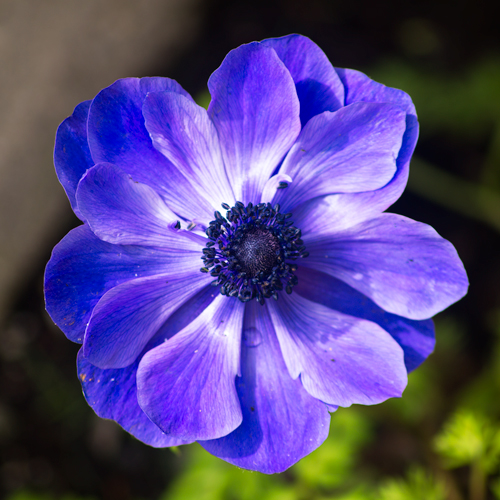 This one is my favorite!