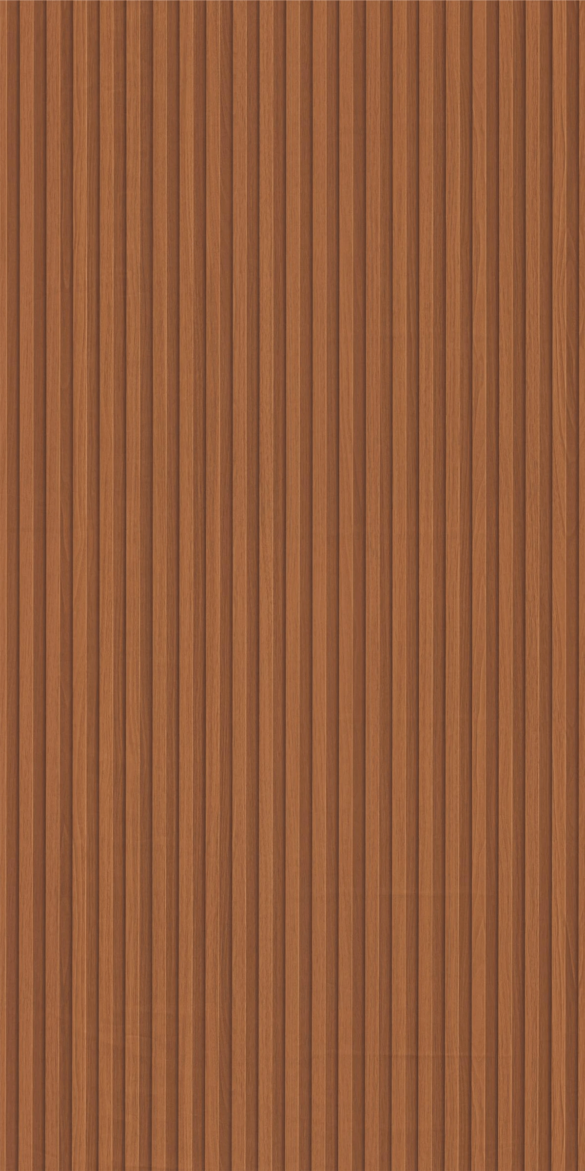8081