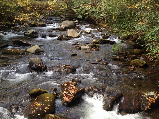 Stream decorated by nature.