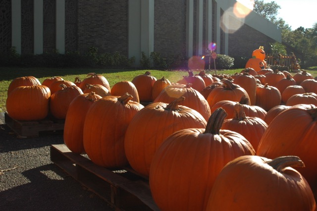 Methodist church pumpkin patch
