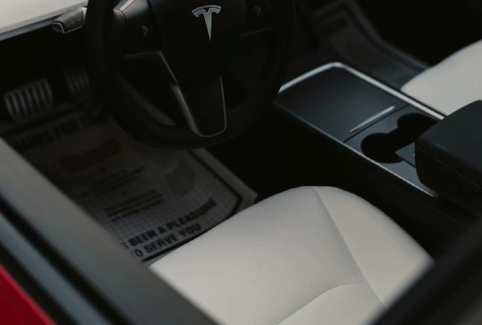 Best Tesla Model Y Floor Mats