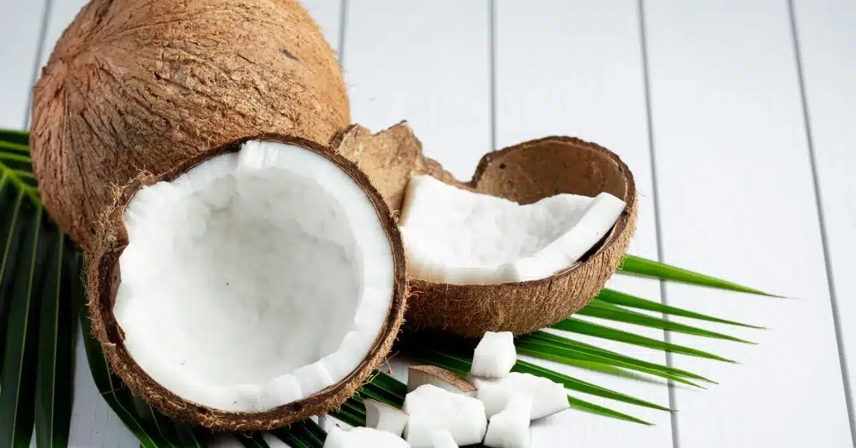 Versatility of coconut: culinary magic & health wonders