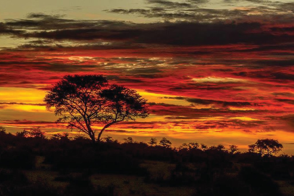 African Safarie Sunset