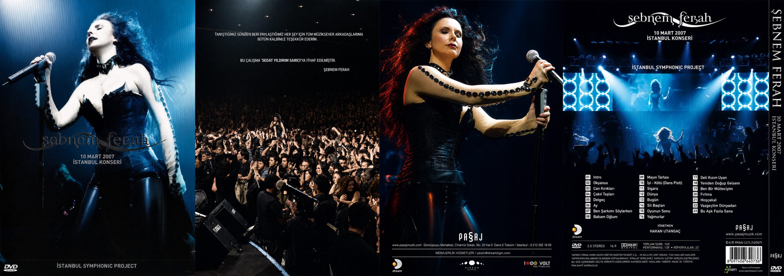 Poster collage promoting Şebnem Ferah's Istanbul concert (March 10, 2007) featuring the singer performing on stage and a cheering crowd.