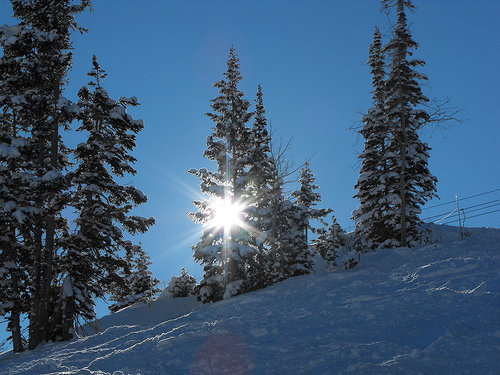 Wasatch NF for Ari