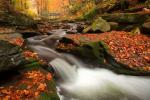 The River