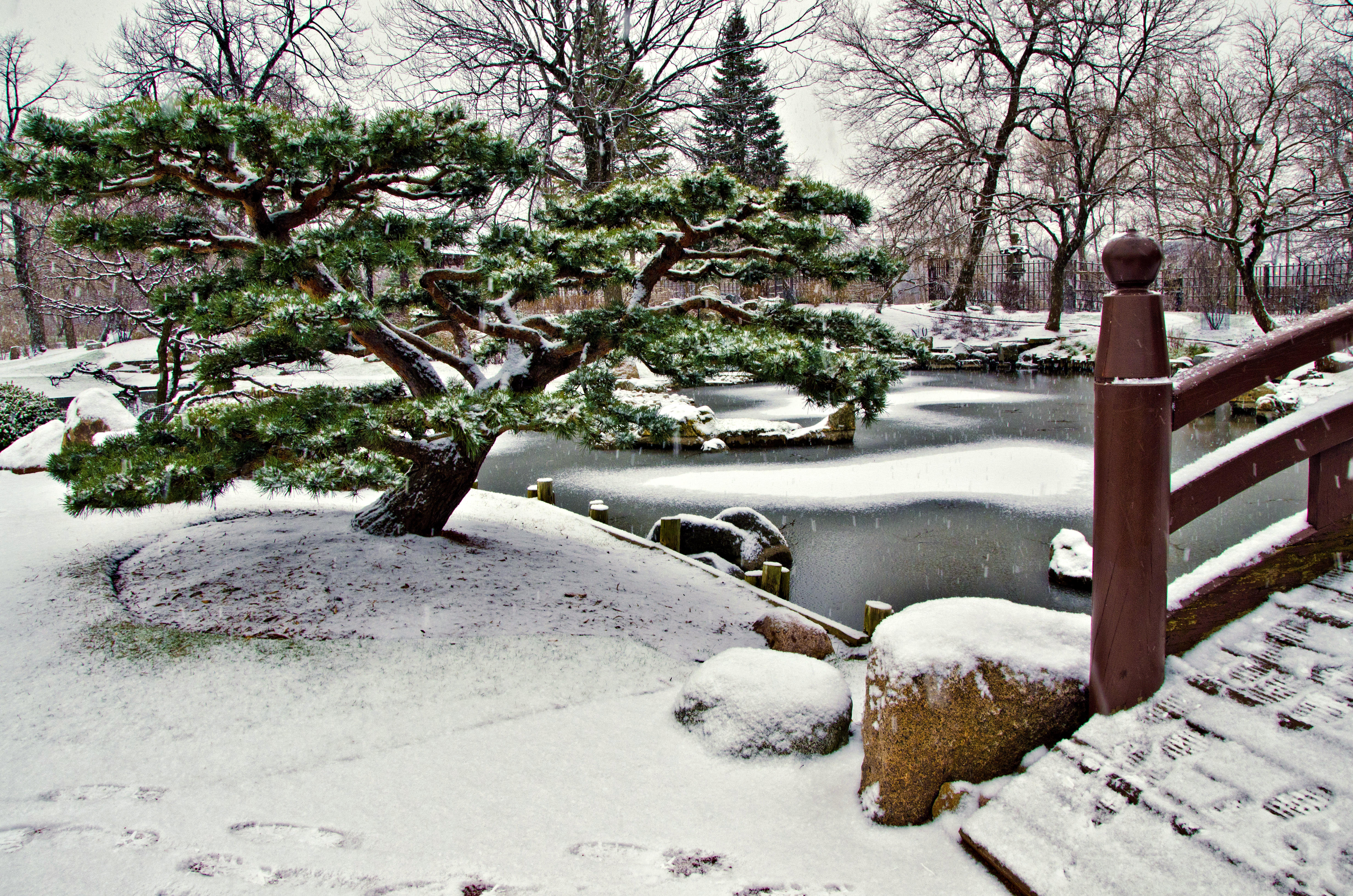 Osaka Winter