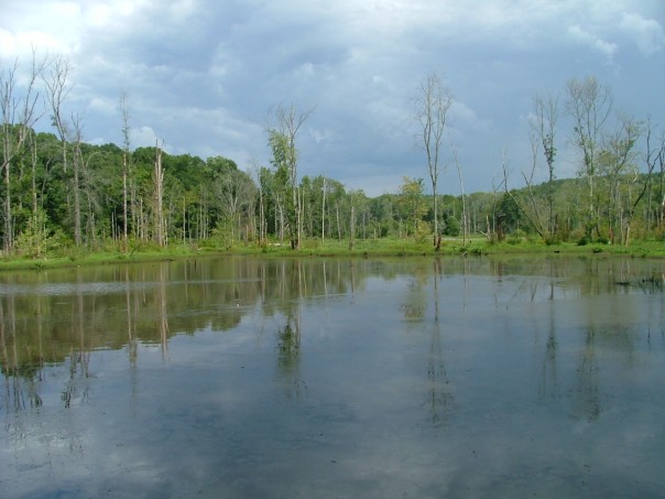 Colburn Acres Park