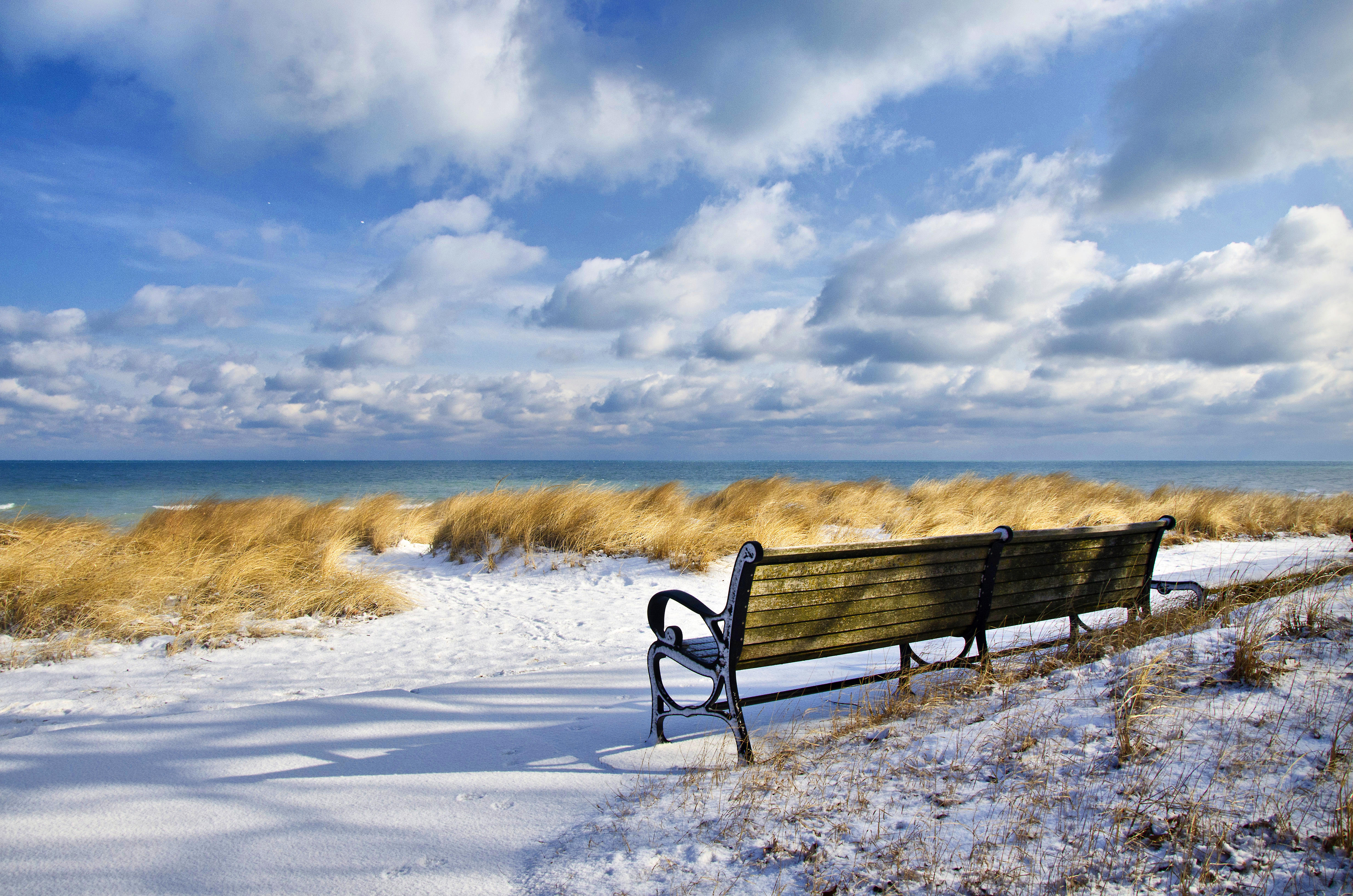 The Park Bench