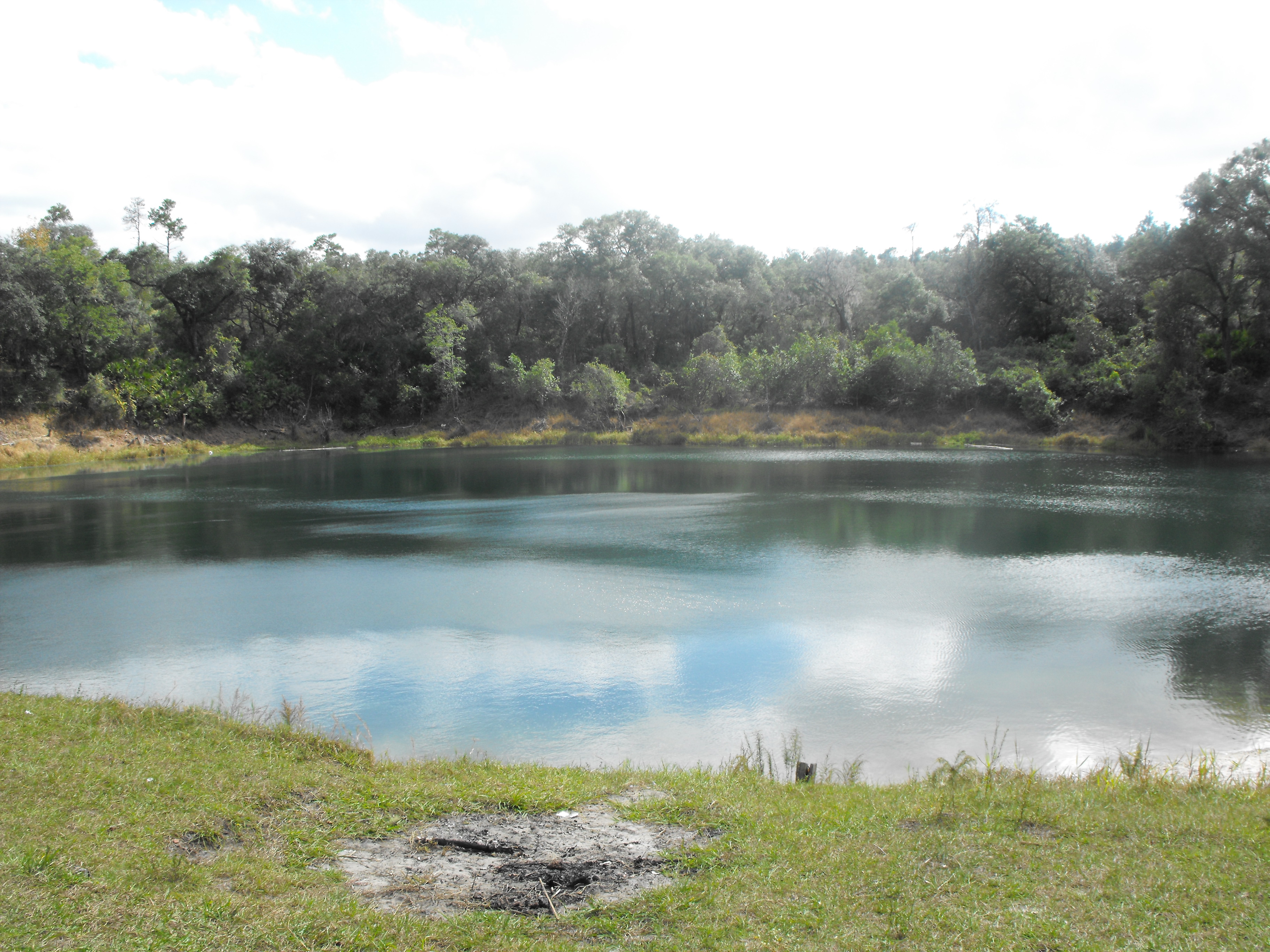 Ocala Pond