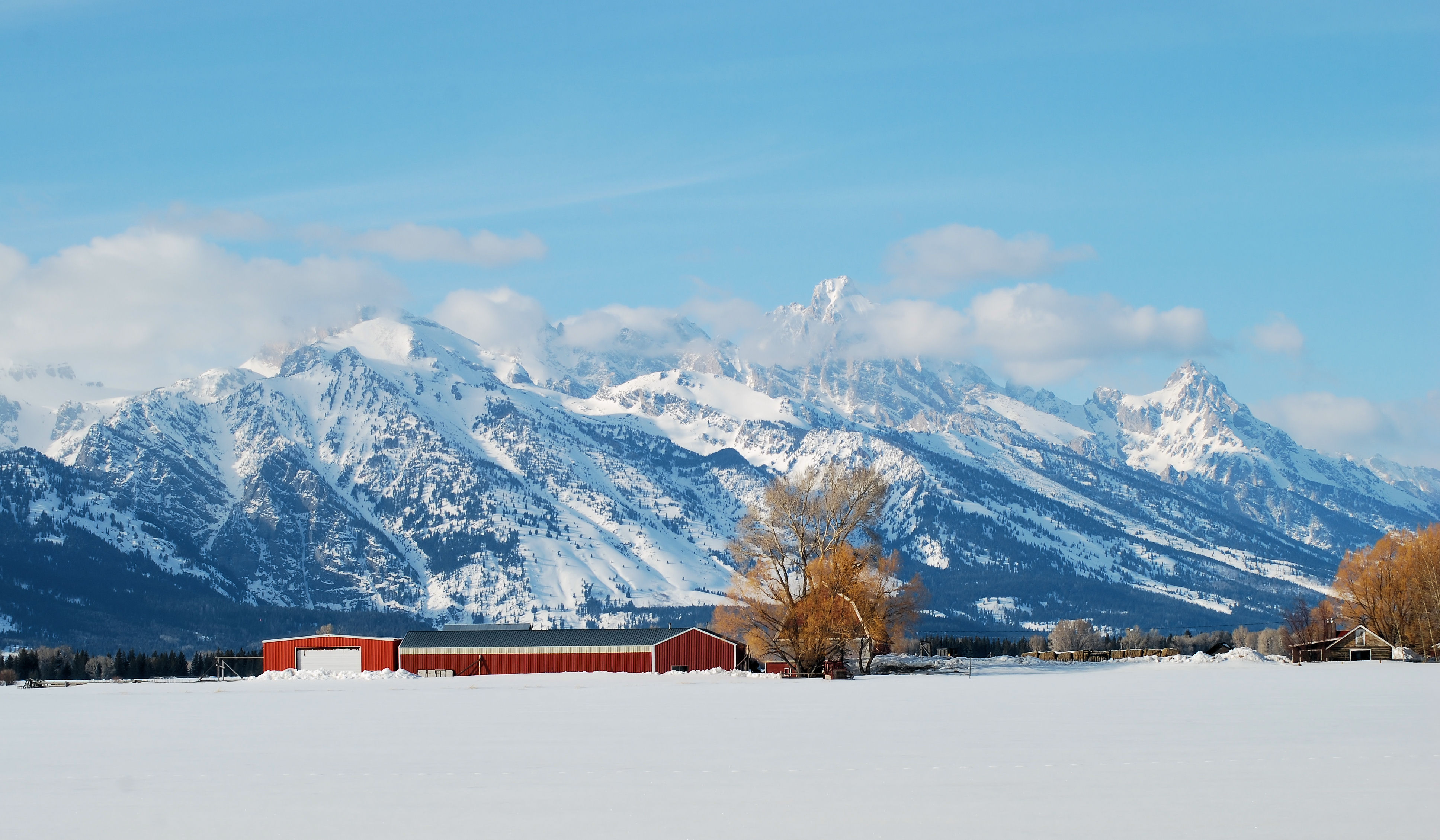 Teton Living