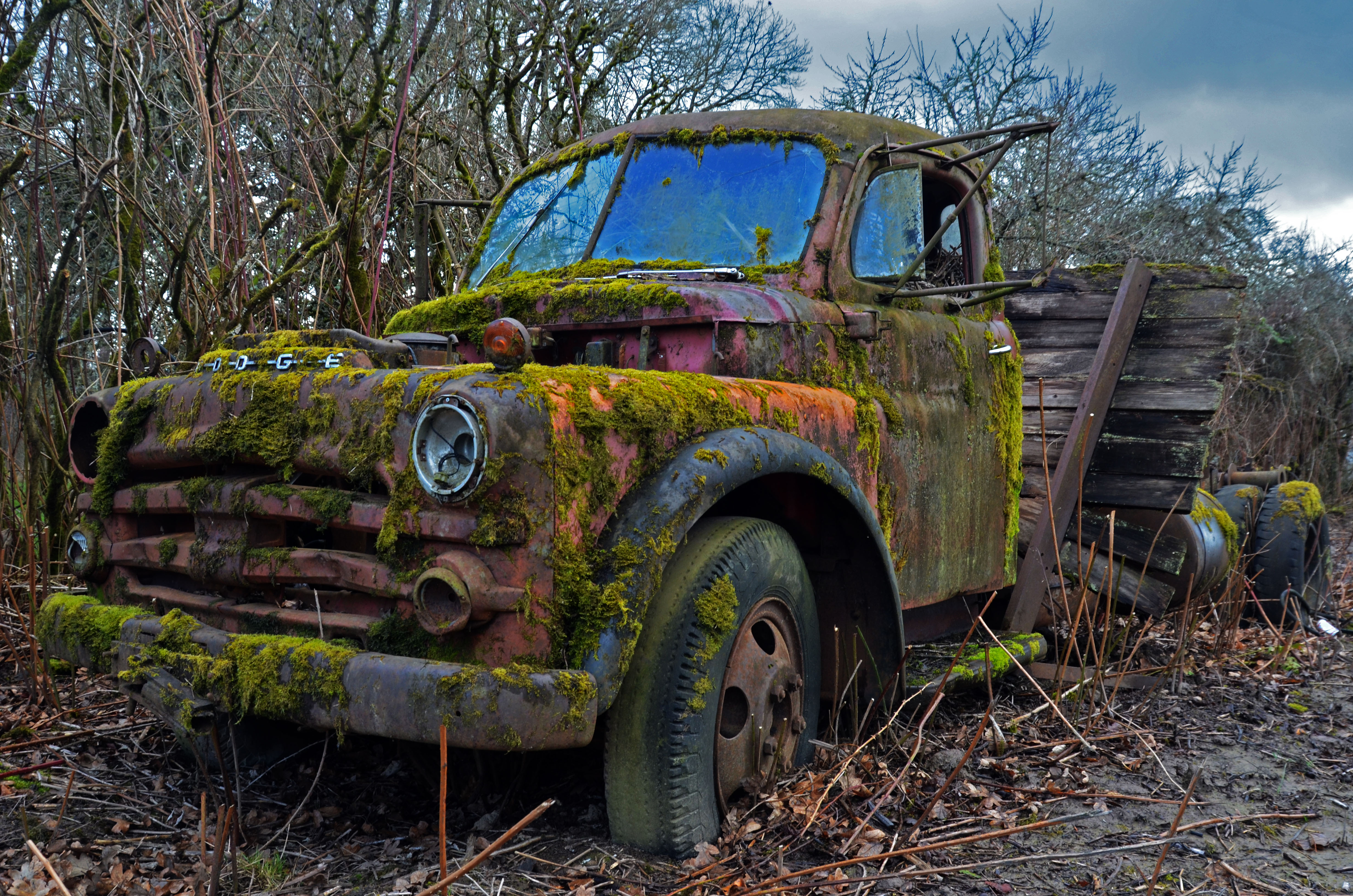 old dodge