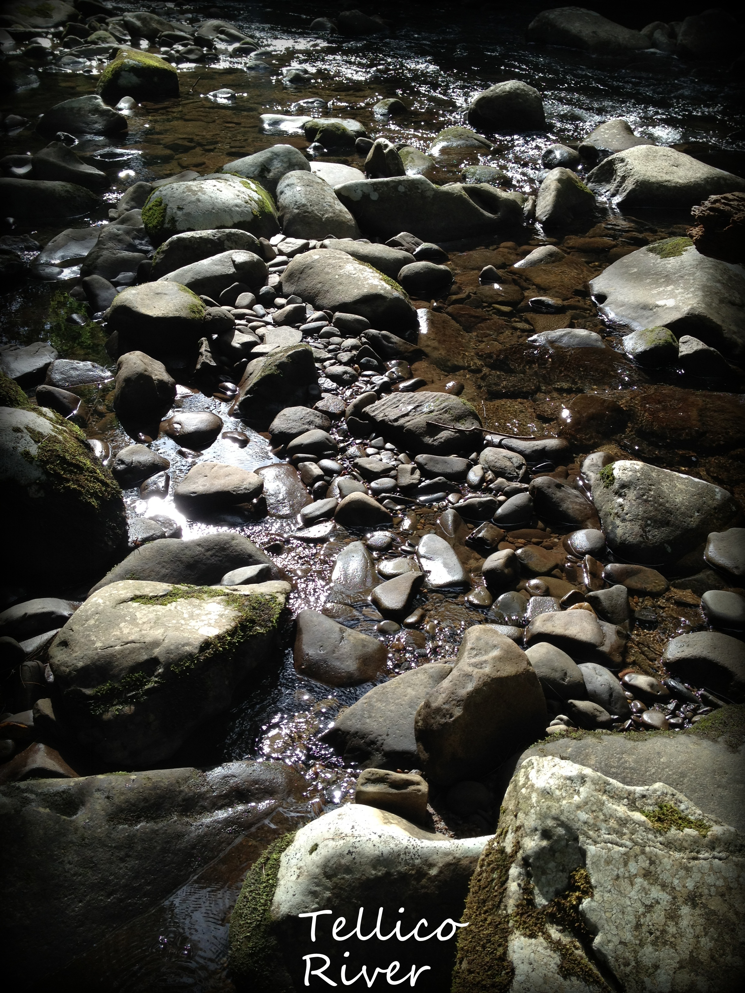 Tellico River