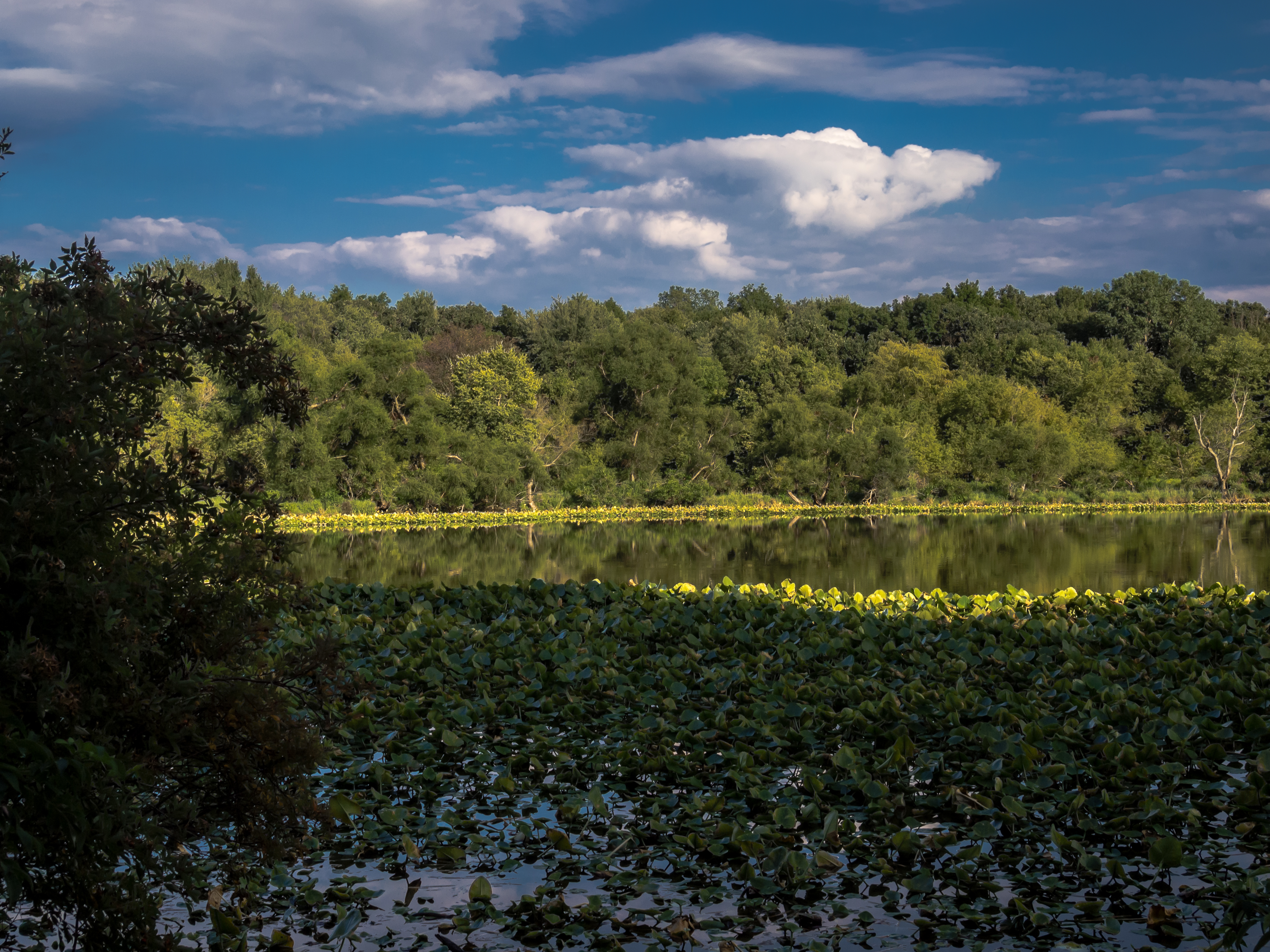 Clouds, Sky, and Water