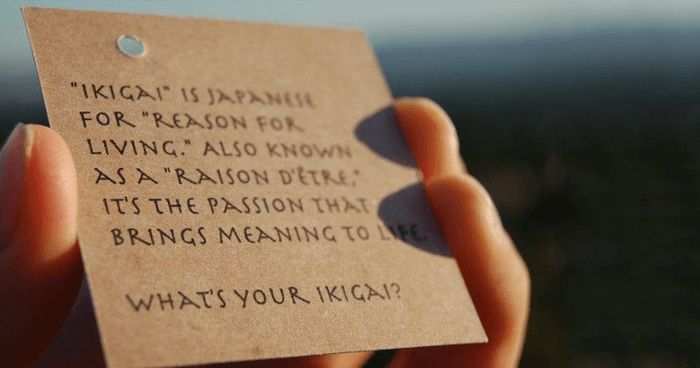 IKIGAI a reason for being