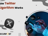 How The Twitter Algorithm Works Complete Guide For 2025 In 2025