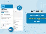 Linkedin Algorithm Works Secrets To Higher Visibility 2025