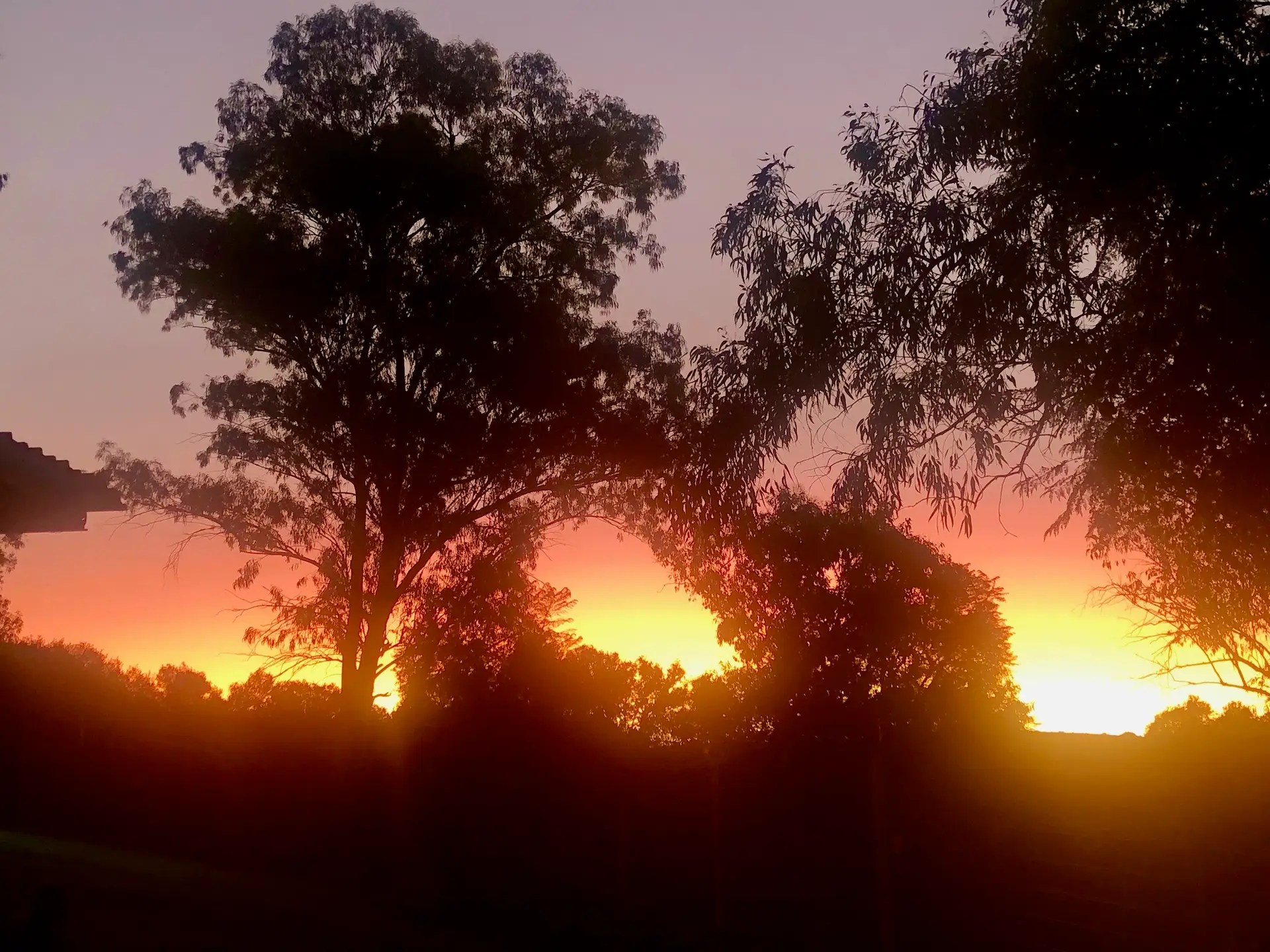 Sunset late afternoon