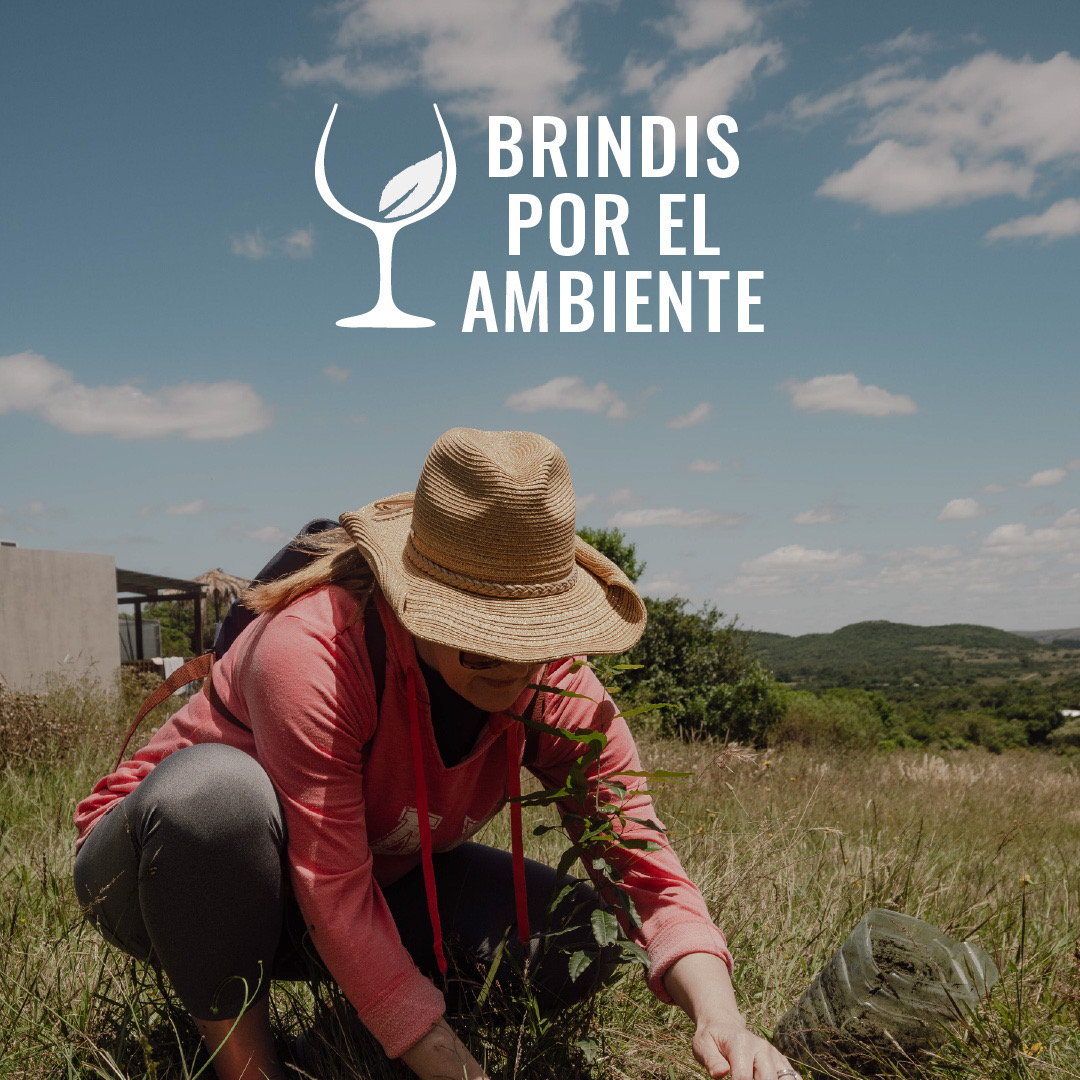 BRINDIS POR EL AMBIENTE