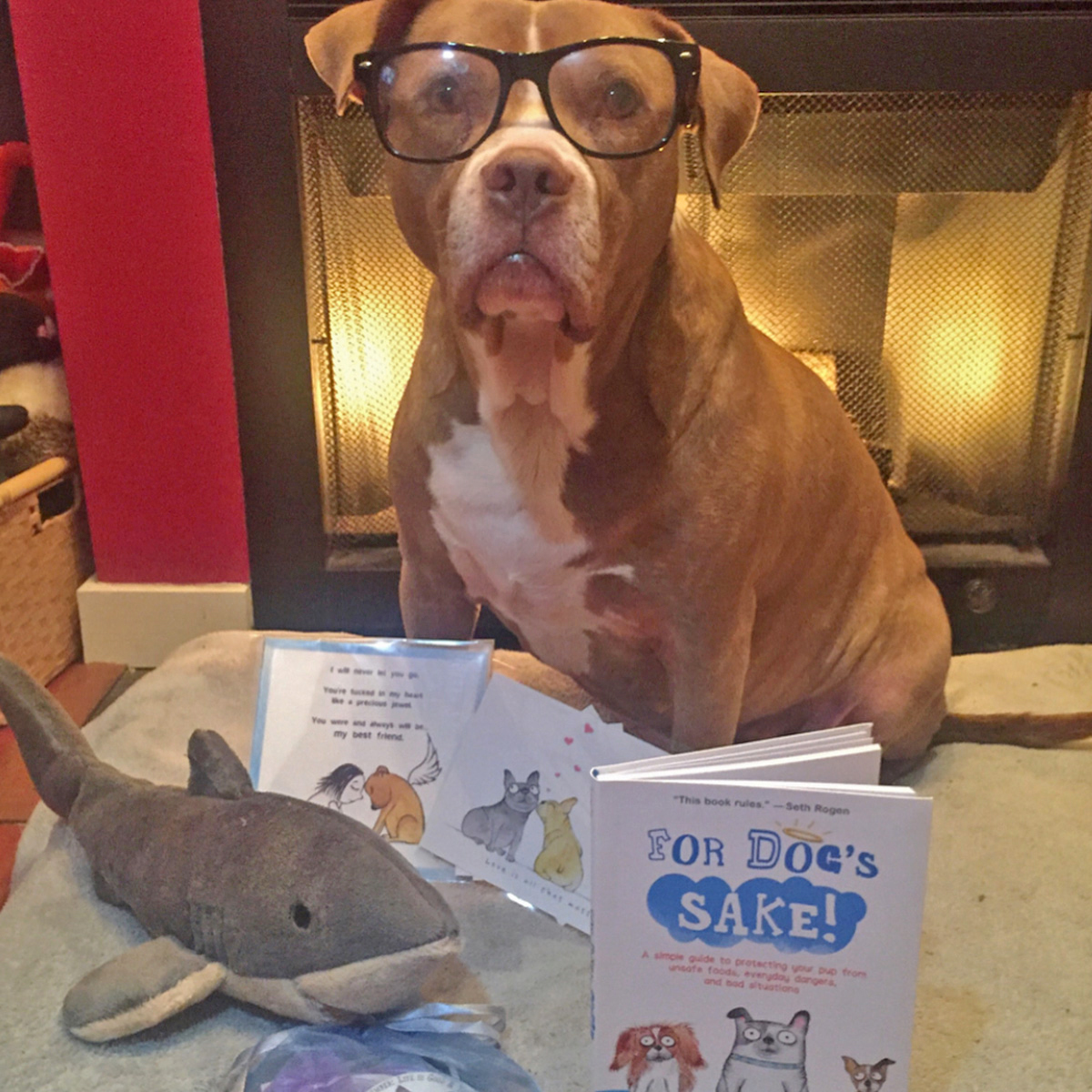 Lexy @Lexy_the_Elderbull