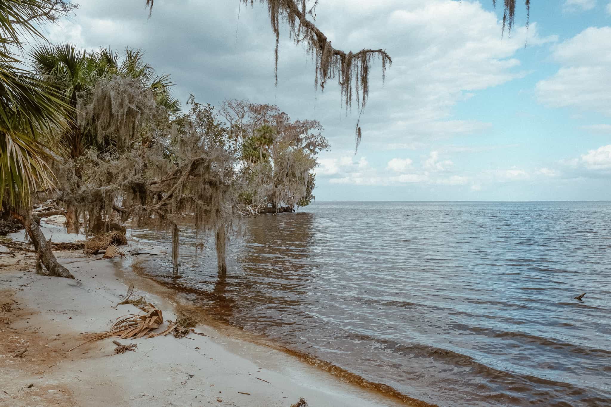 Silver Glen Springs: An Ocala National Forest Gem
