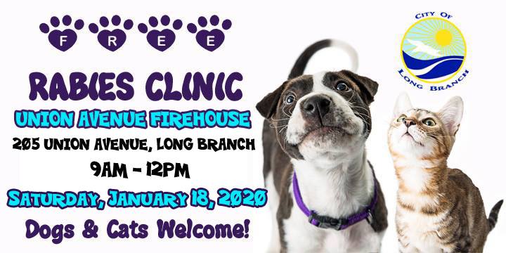 spca free rabies shots