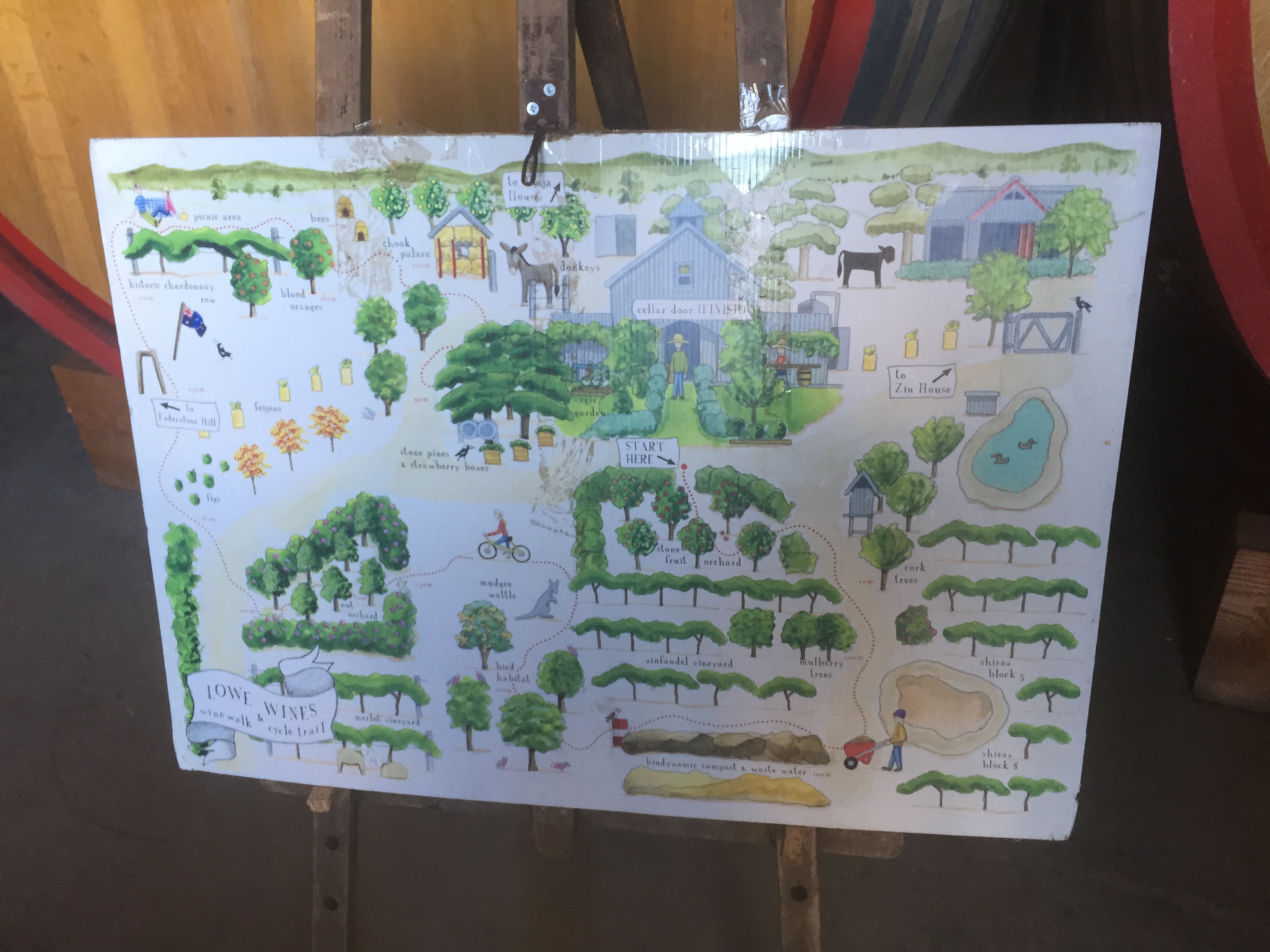 cycleway at lowe wine