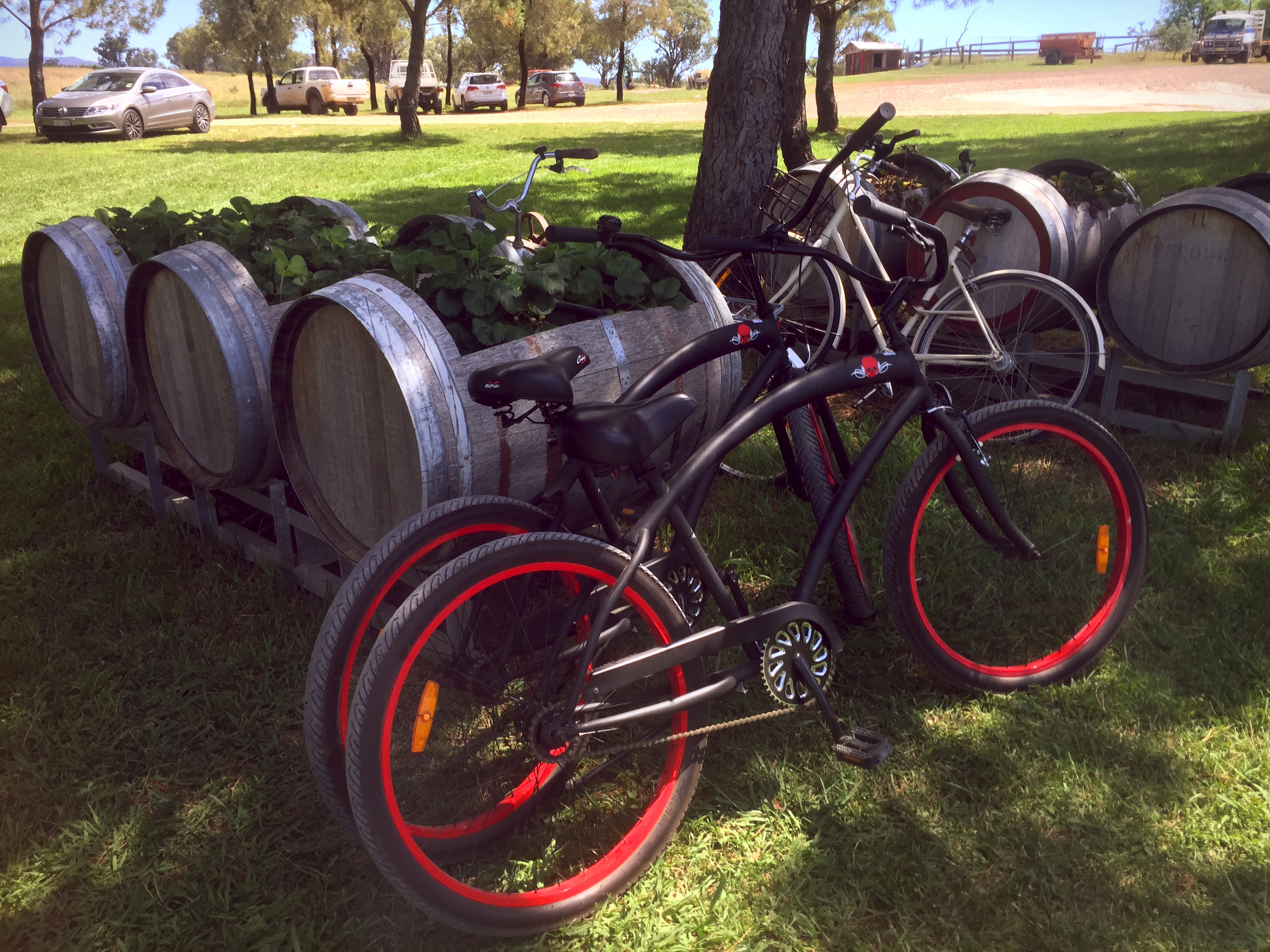 lowe wine