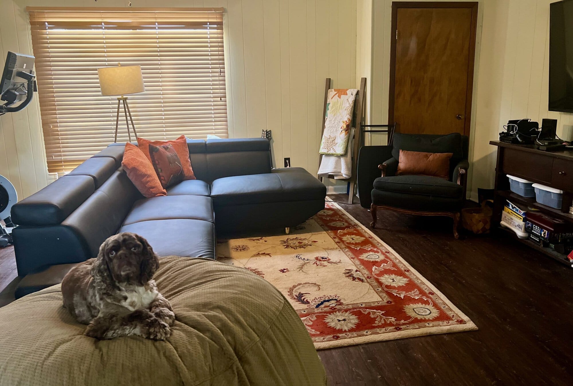 How I Turned My Upstairs Bonus Room Into a Home Gym, Guest Room, Movie Room & Reading Nook