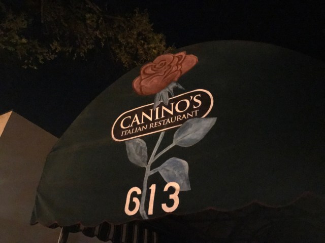 Caninos