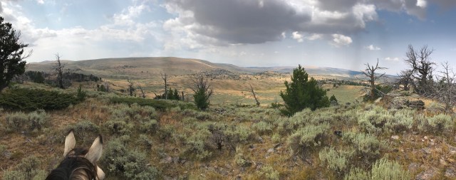 Scenery
