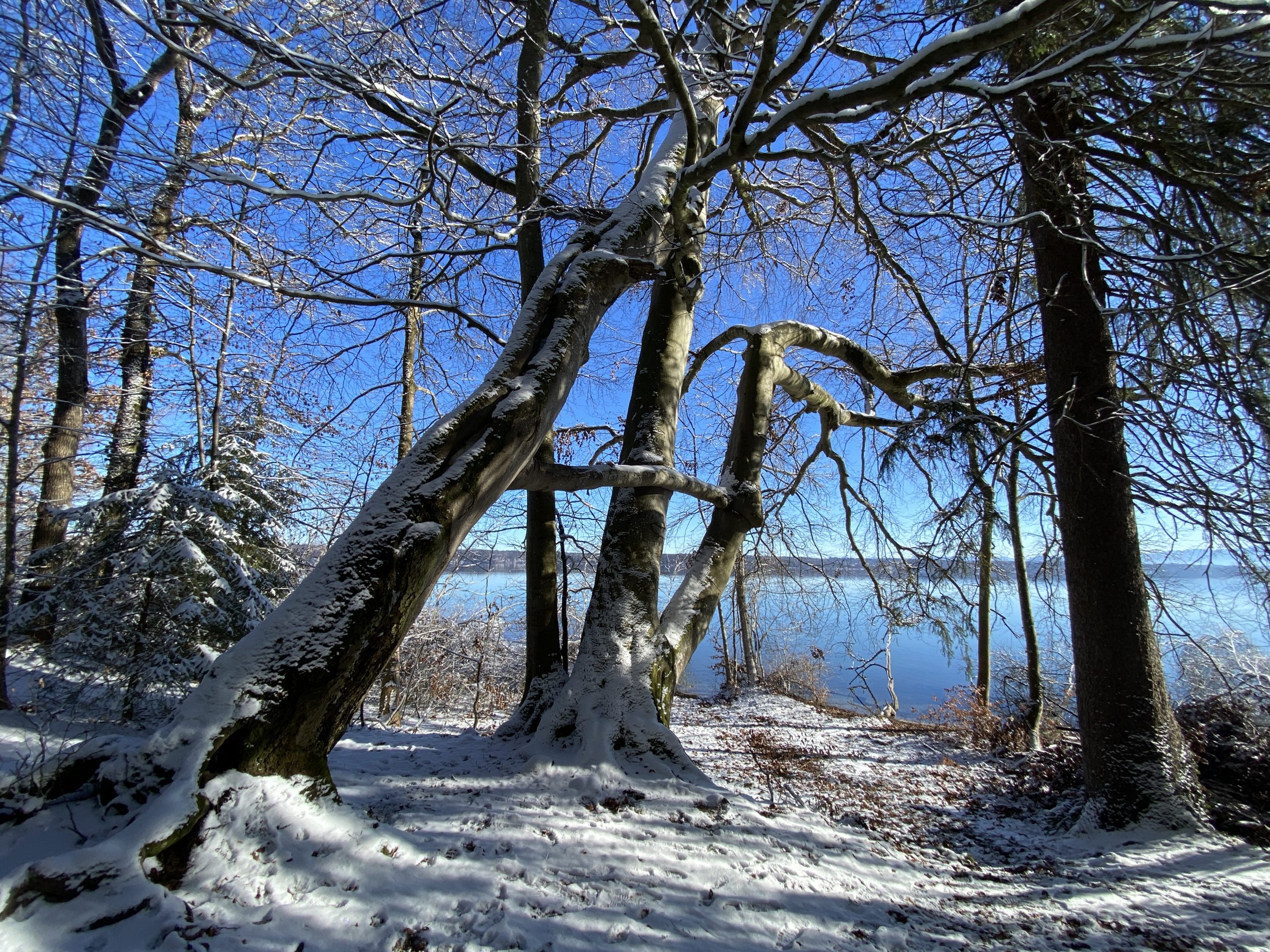 Rede.Engel, Zusammenhalt am Starnberger See.