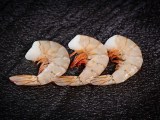 Products Redfishco