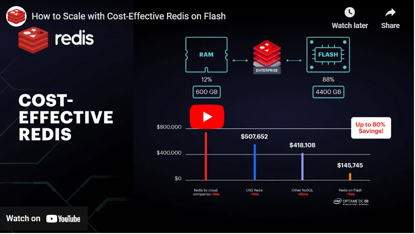 Redis Youtube - Amazing High Resolution Ocean Illustrations | Free Download