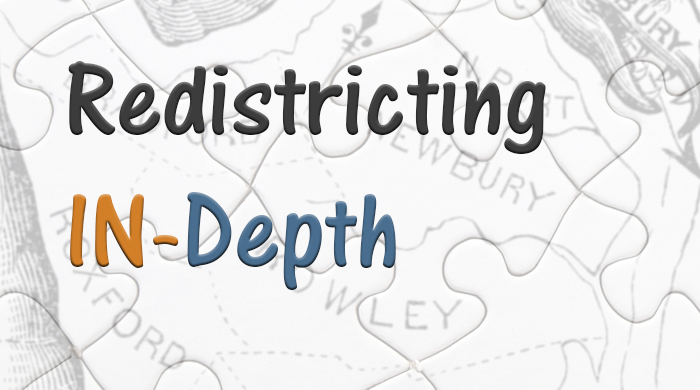redistricting in-depth