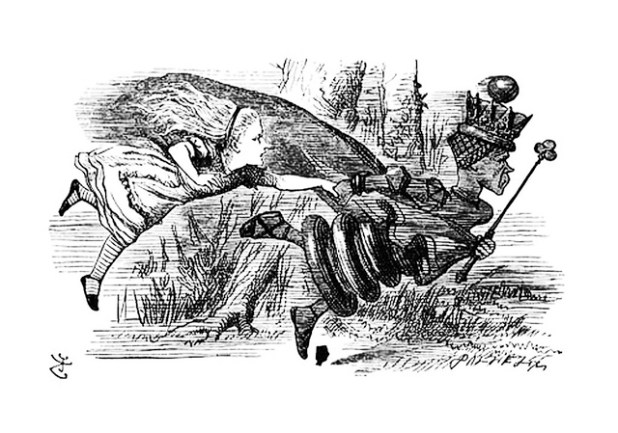 Red Queen's Race