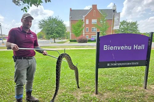 Interested in becoming a snake handler?