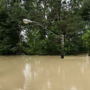 Light pole near River Bend in North Shore as Harvey receded. Note the "wet marks" several feet up on pole. Photo by Jim Balcom.