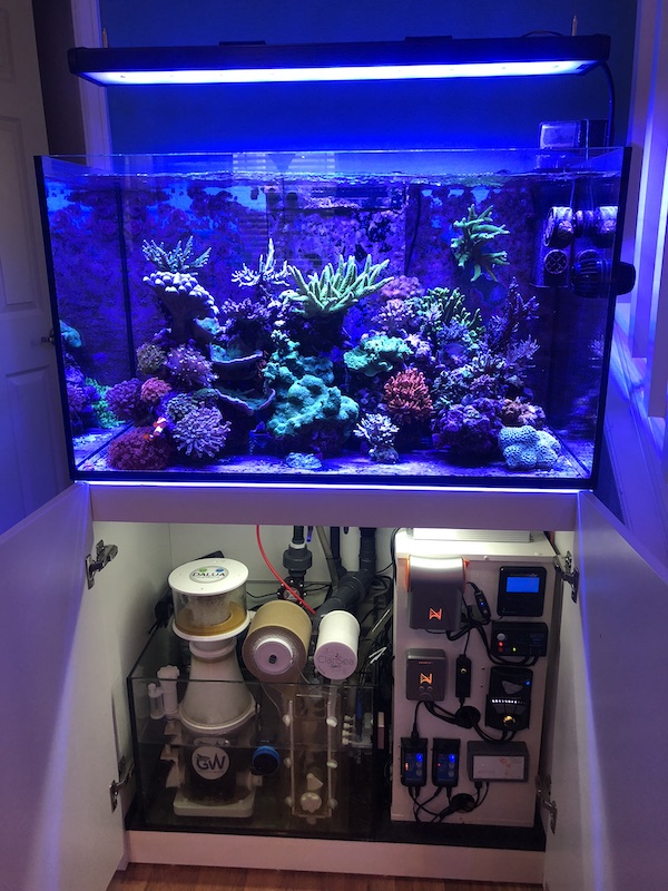 Red Sea Reefer 250 White 65 Gallon Glass Aquarium Set R42122 Fish Tanks Direct If you dont think you want or even need that much live rock you can fill in some space with dry rock.