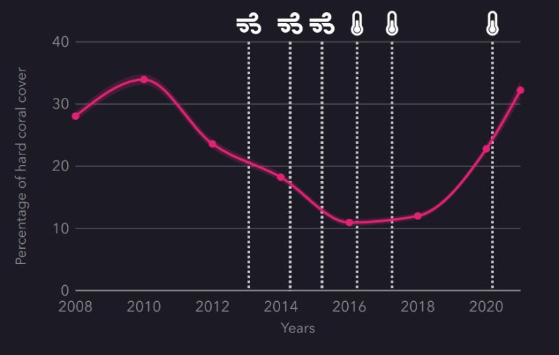 Github Reefcloud Resources - 4K Sunset Wallpapers for Desktop