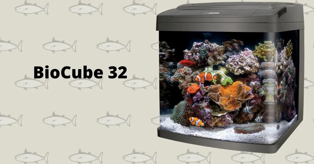 Light Schedule For Biocube 32 Lighting Forum Nano Reef Munity New LED Coralife BioCube size 16 features a new modern design.