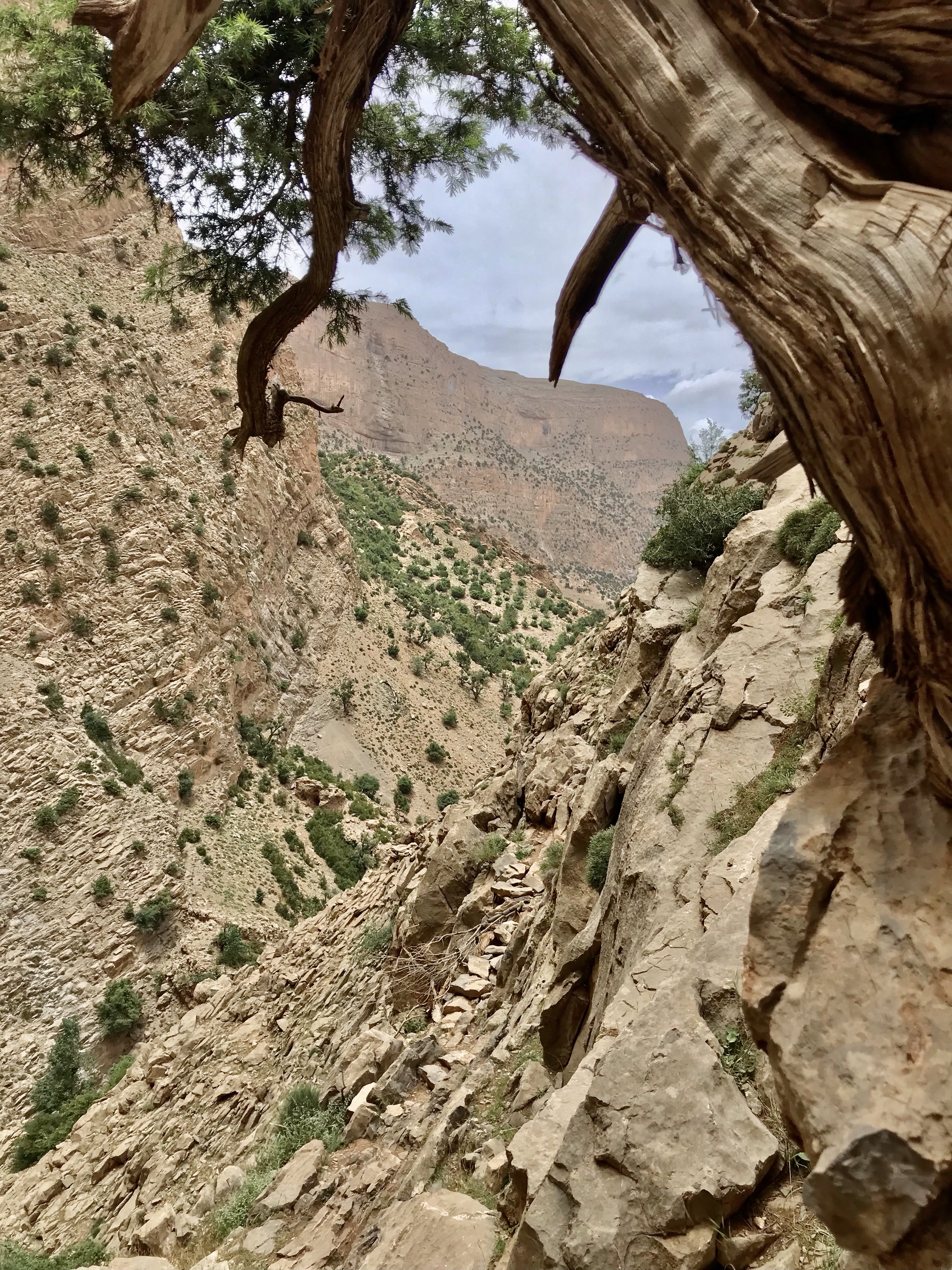 Taghia - Paso Bereber