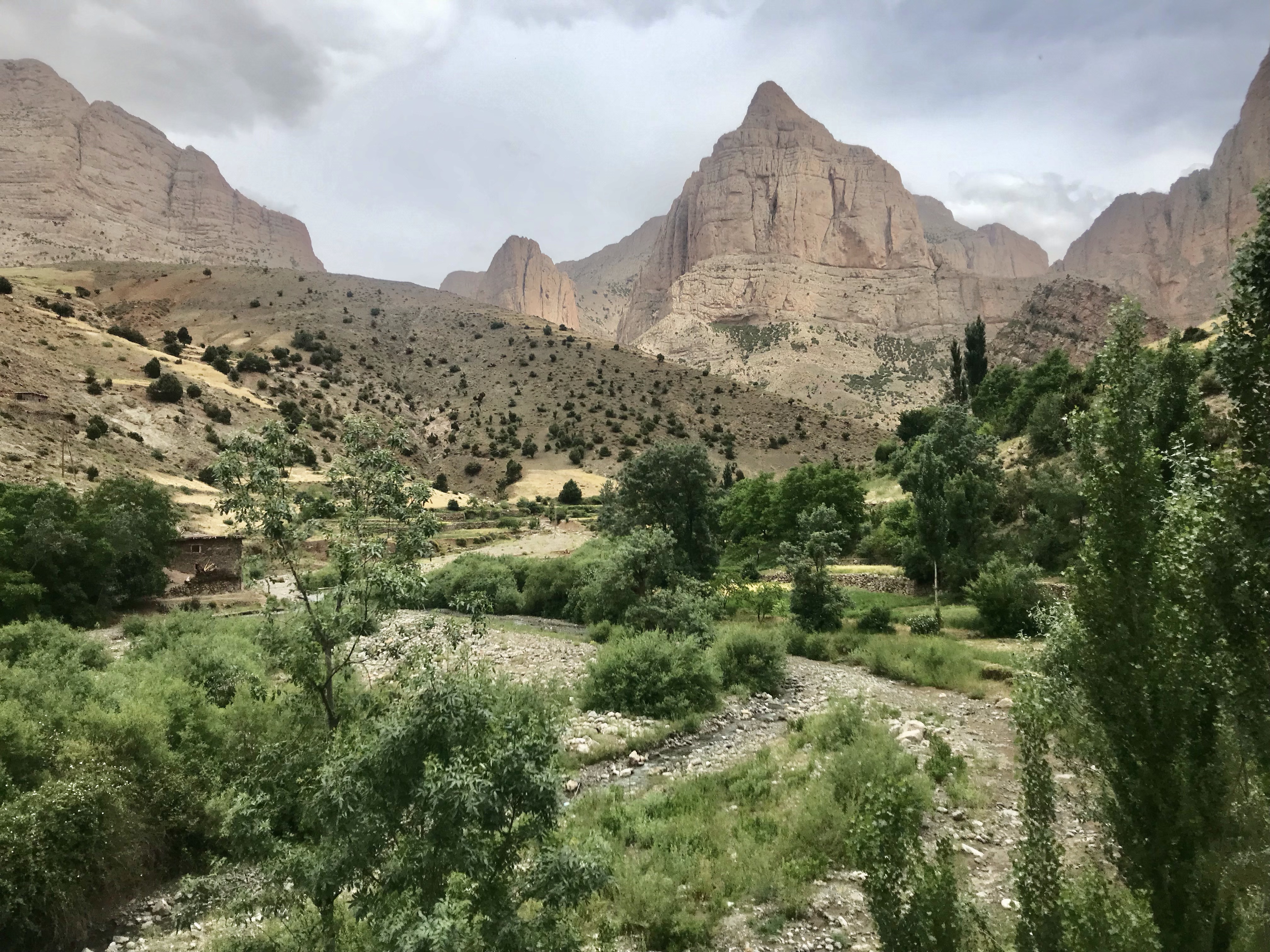 Taghia