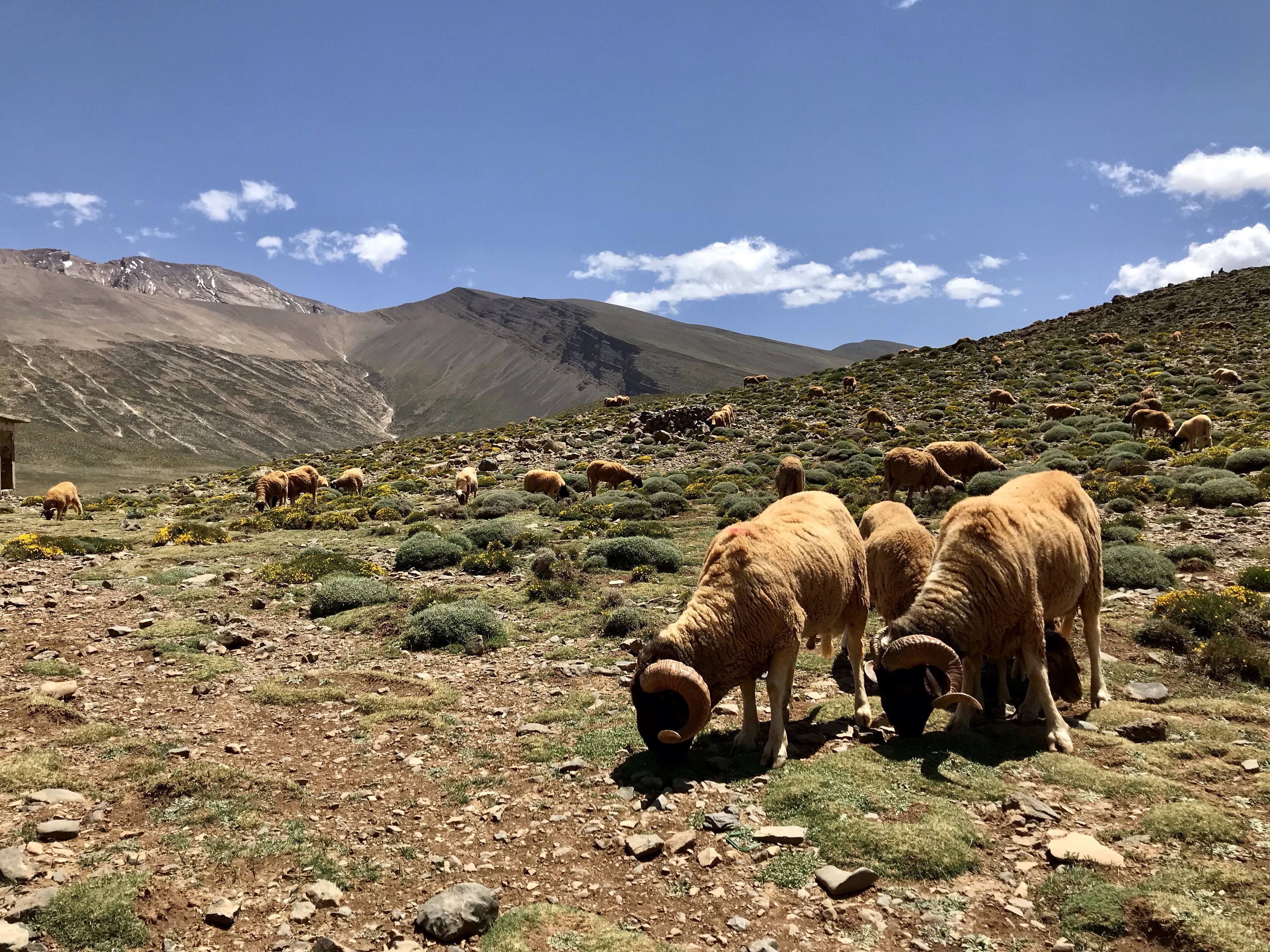 Ruta de senderismo del lago seco de Izourrar