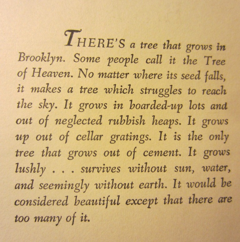 A Tree Grows In Brooklyn 1945 Cast And Crew Trivia Quotes Photos News And Videos Famousfix