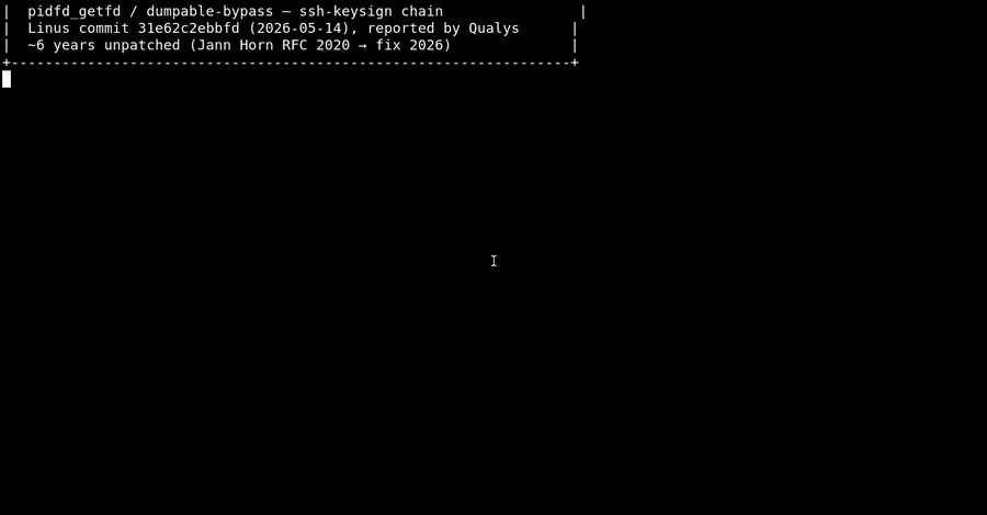 linux-exploit.gif